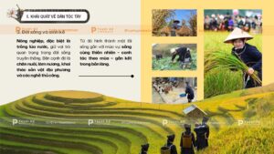 khái quát về dân tộc tày