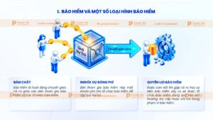 các loại hình báo hiểm