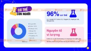nguyên tố hóa học cơ thể người