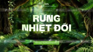 rừng nhiệt đới