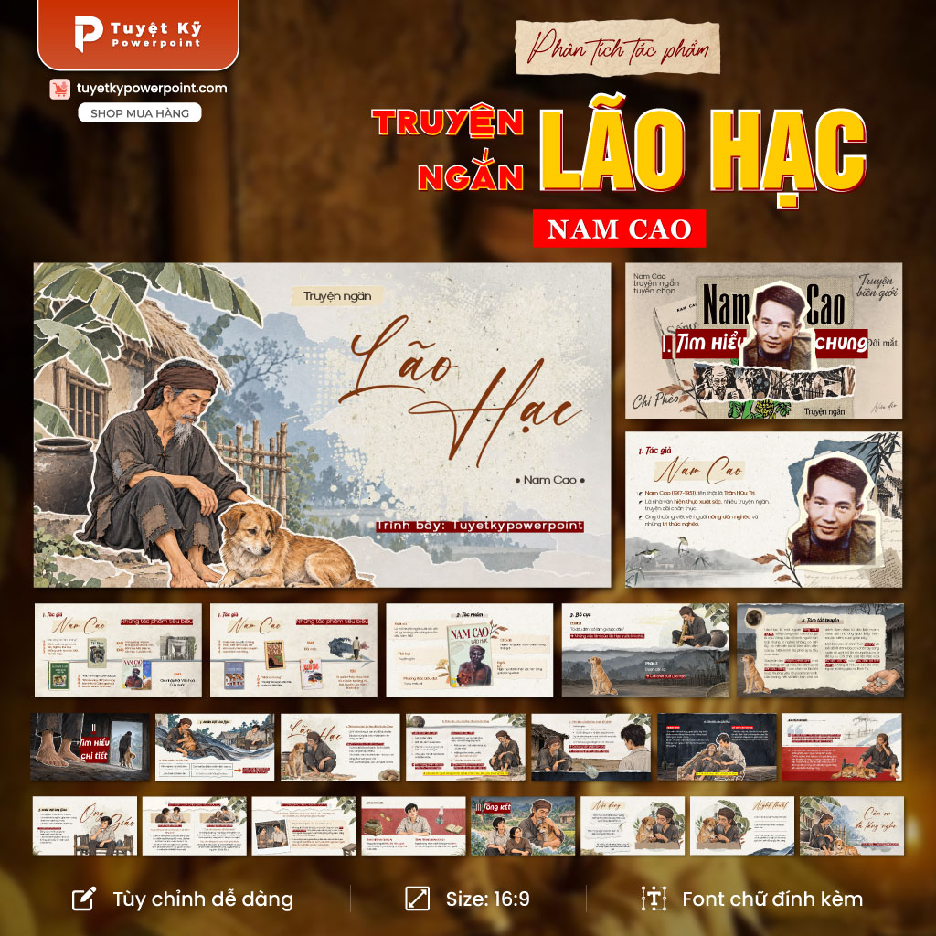 phân tích nội dung truyện ngắn lão hạc