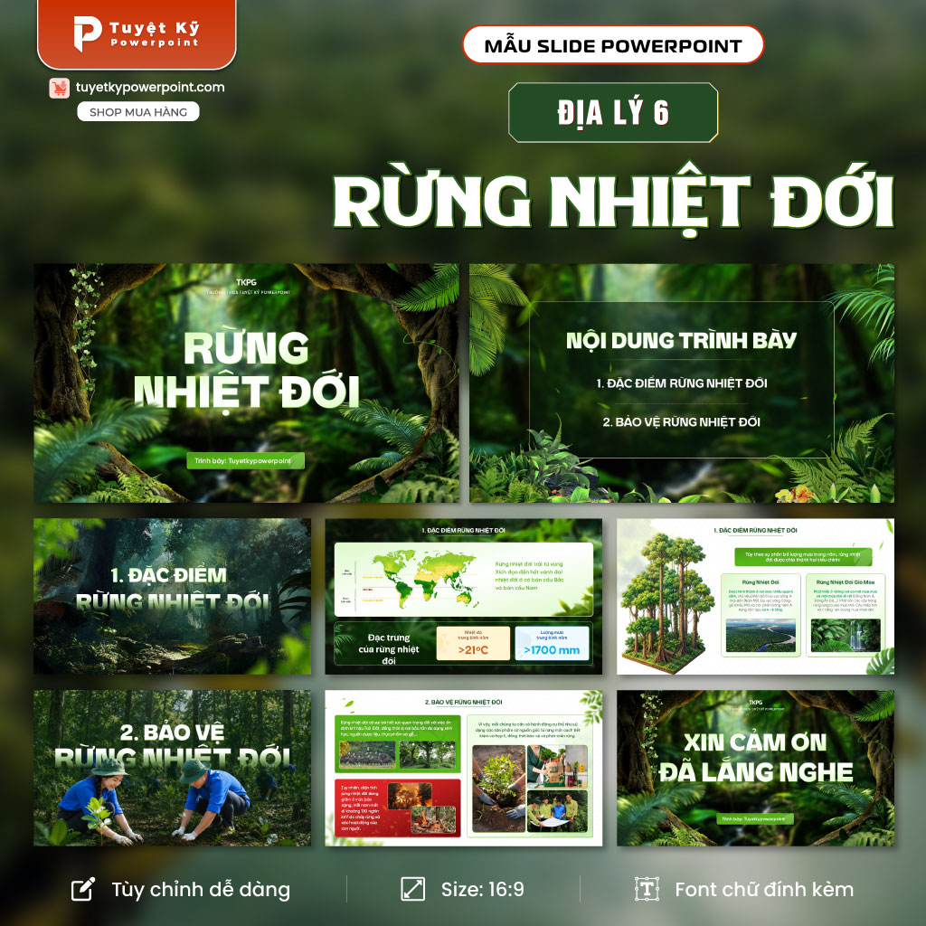 rừng nhiệt đới