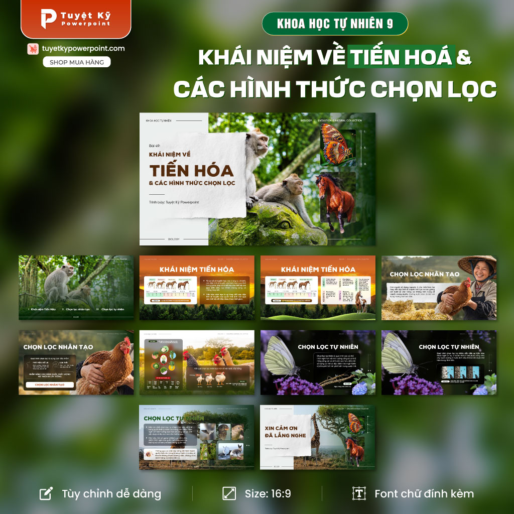 tiến hóa và các hình thức tiến hóa