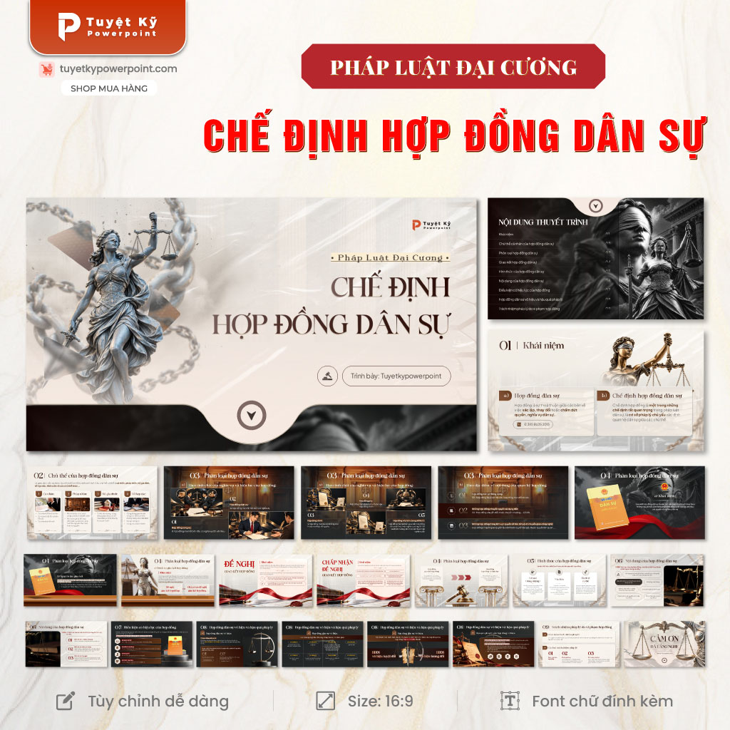 pháp luật đại cương chế định hợp đồng dân sự