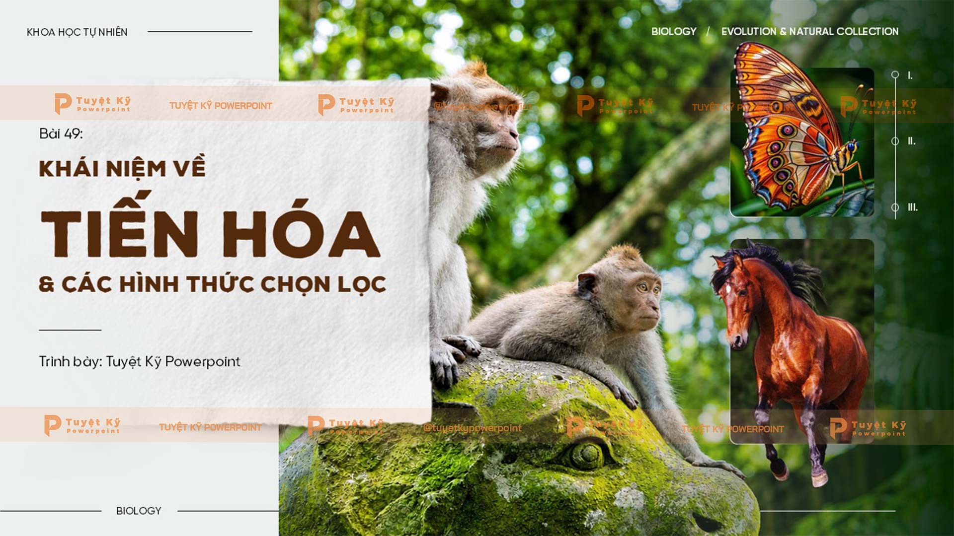 tiến hóa và các hình thức tiến hóa