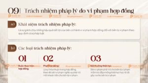 trách nhiệm pháp lý do vi phạm hợp đồng