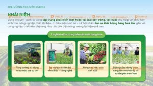 vùng chuyên canh nông nghiệp